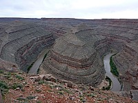 gooseneck (2).JPG